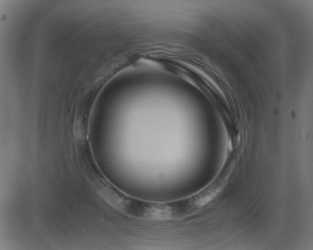 X0000081450317200701121238