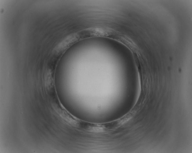 X0000081450318200701121238