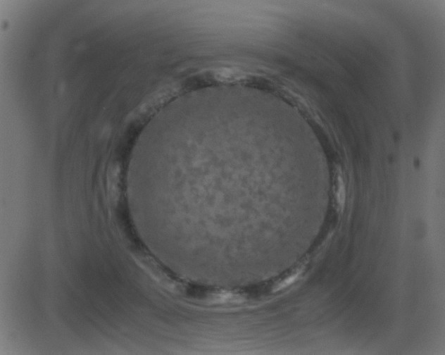 X0000081450319200701121238