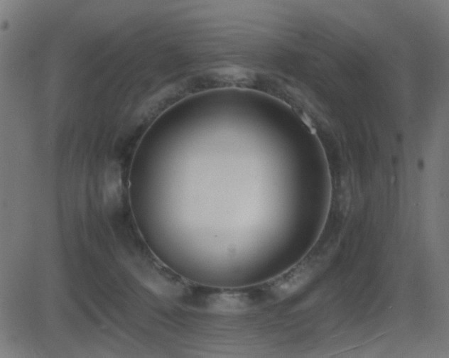 X0000081450320200701121238