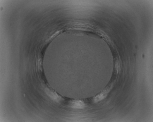 X0000081450322200701121238