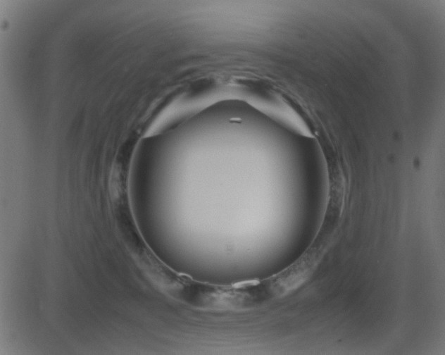 X0000081450323200701121238