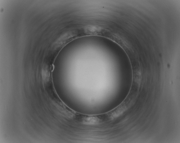 X0000081450324200701121238