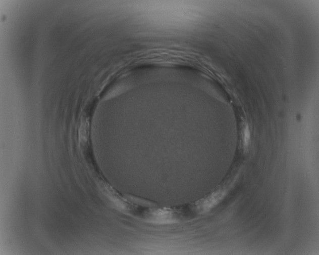 X0000081450325200701121238