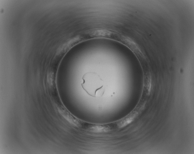 X0000081450326200701121238