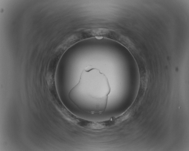 X0000081450327200701121238