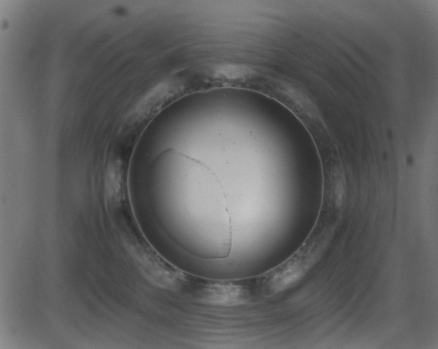 X0000081450328200701121238