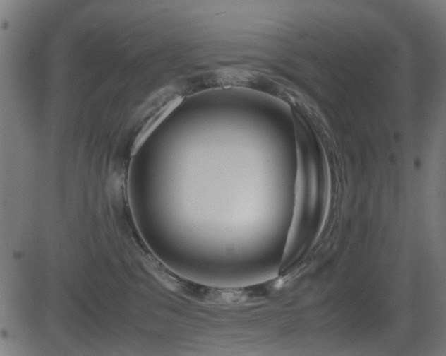 X0000081450329200701121238