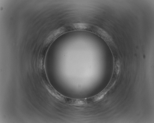 X0000081450330200701121238