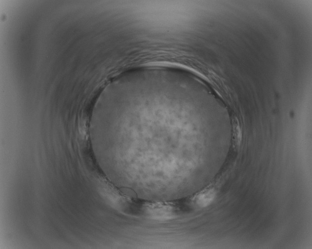 X0000081450331200701121238