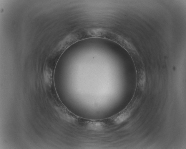 X0000081450332200701121238