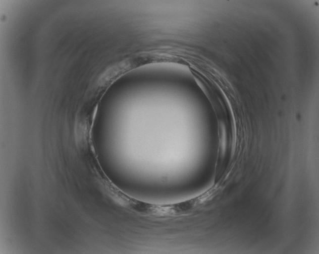 X0000081450333200701121238