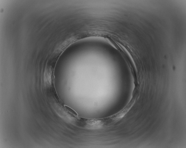 X0000081450334200701121238