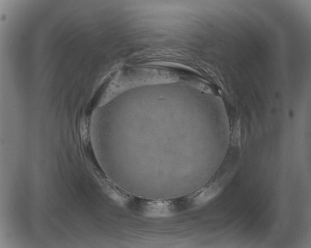 X0000081450335200701121238