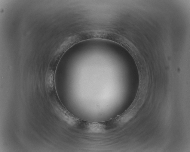 X0000081450336200701121238