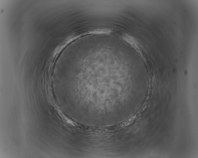 X0000081450337200701121237