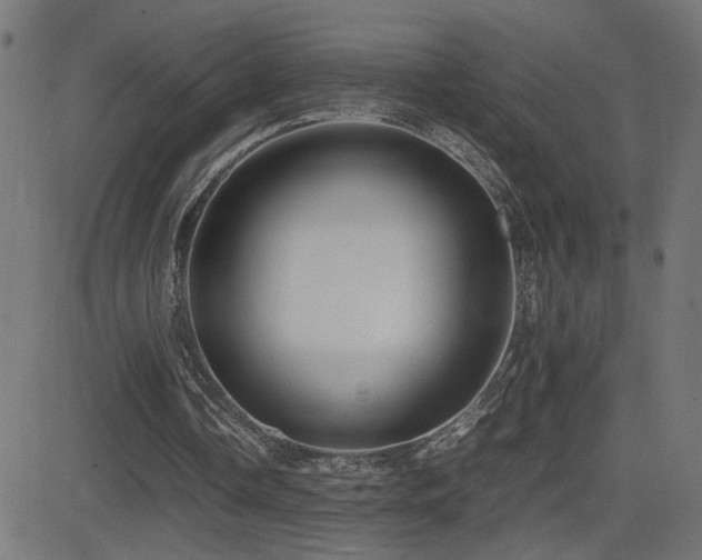 X0000081450338200701121237