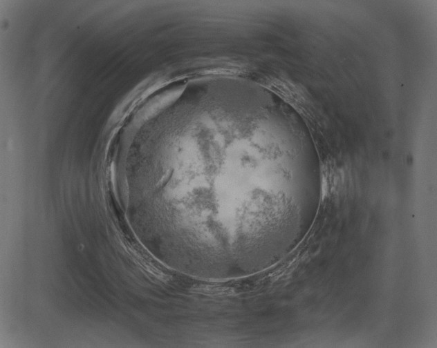 X0000081450339200701121237