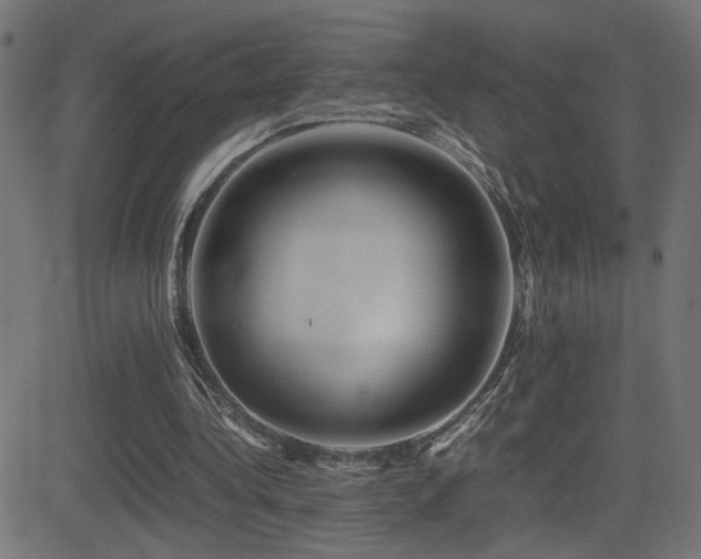 X0000081450340200701121237