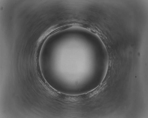 X0000081450341200701121237