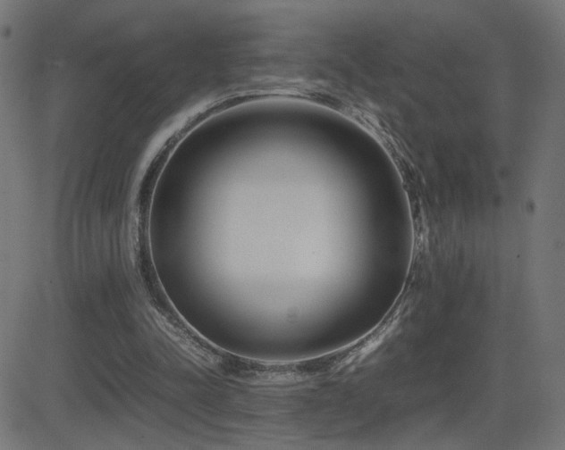 X0000081450342200701121237