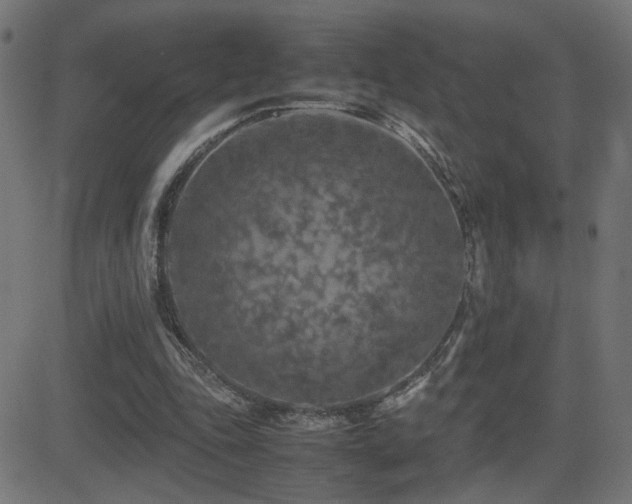 X0000081450343200701121237