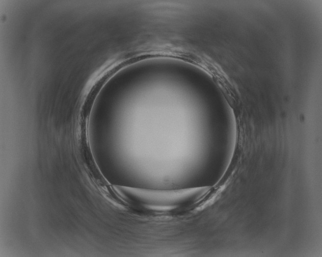 X0000081450344200701121237