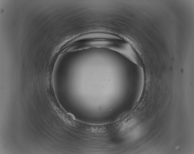 X0000081450345200701121237