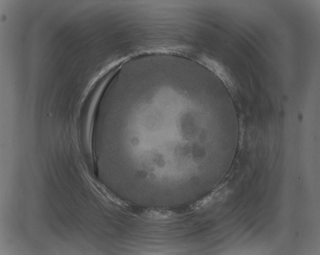 X0000081450346200701121237