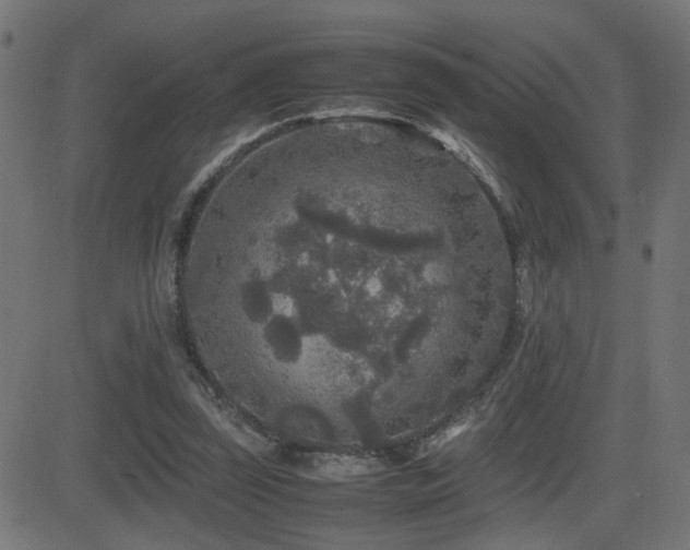 X0000081450347200701121237