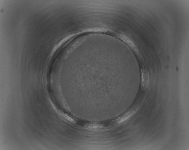 X0000081450348200701121237