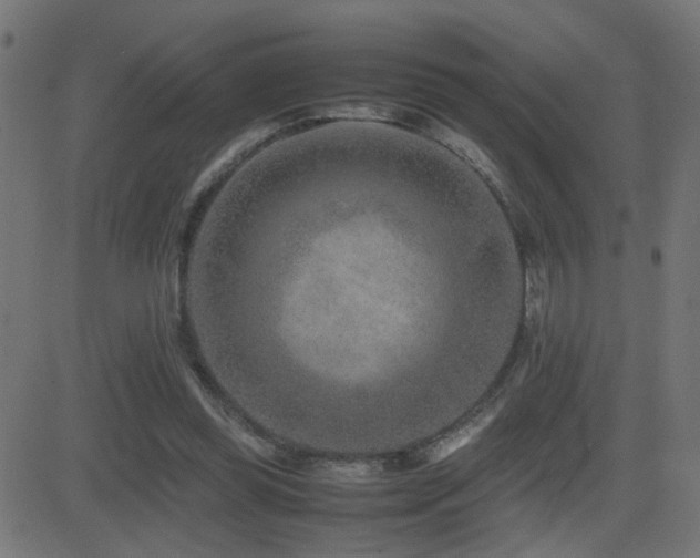 X0000081450349200701121237