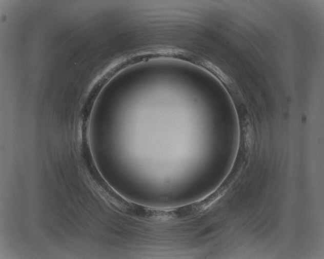 X0000081450350200701121237