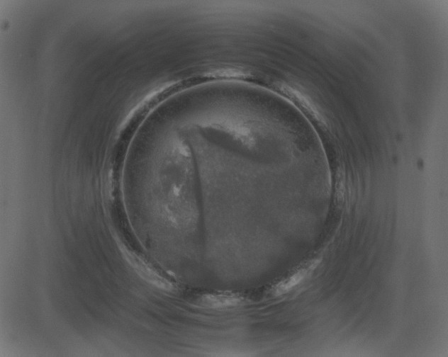 X0000081450351200701121237