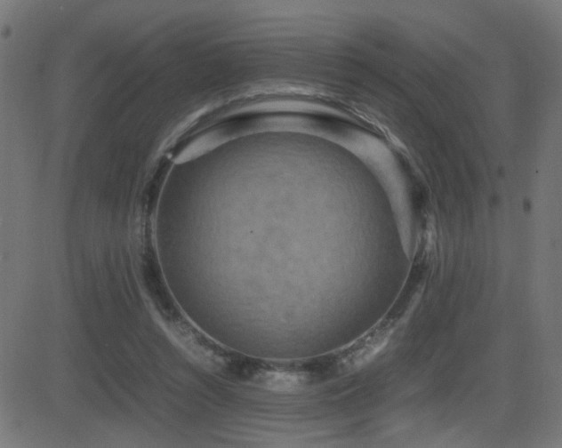 X0000081450352200701121237