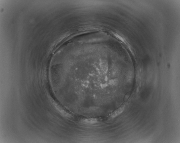 X0000081450353200701121237