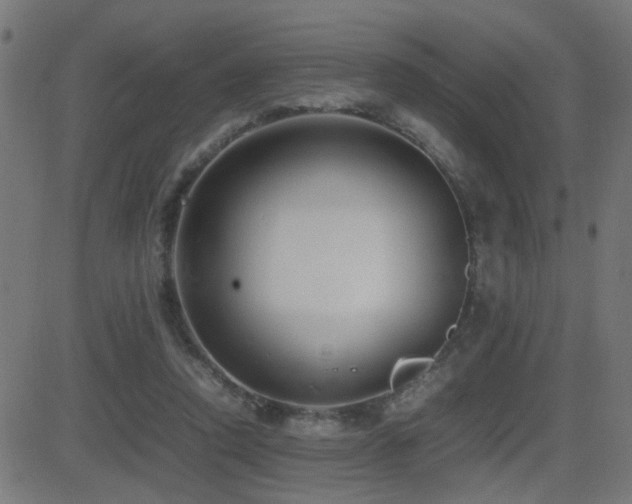 X0000081450354200701121237