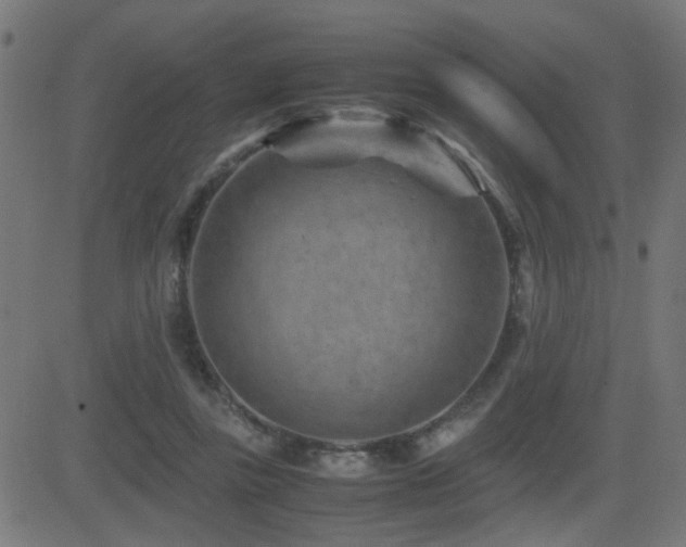 X0000081450355200701121237