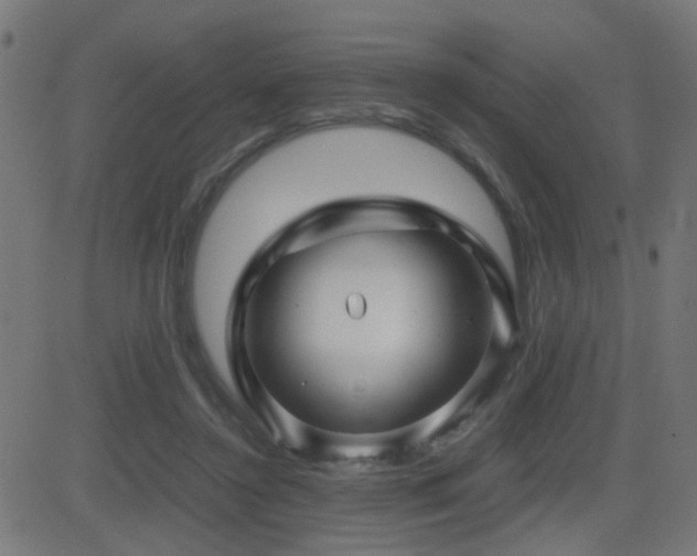 X0000081450356200701121237