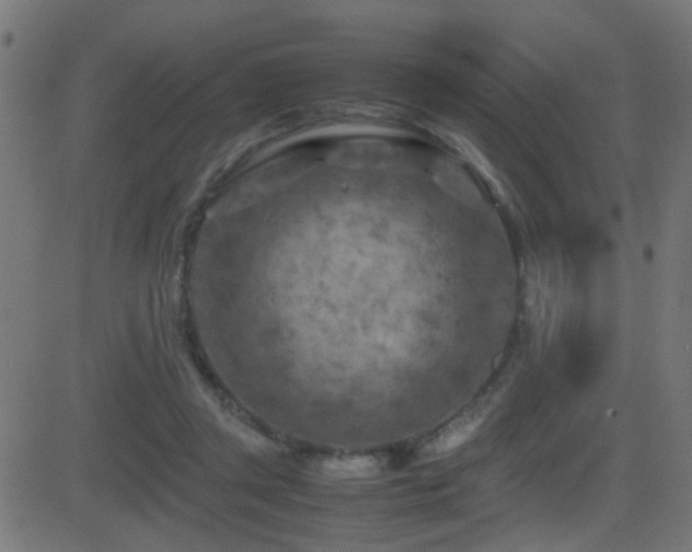 X0000081450357200701121237