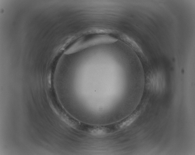 X0000081450358200701121237