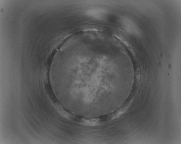 X0000081450359200701121237