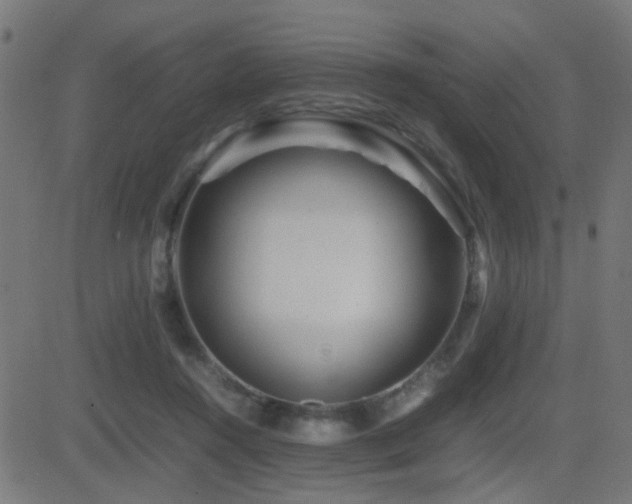 X0000081450360200701121238