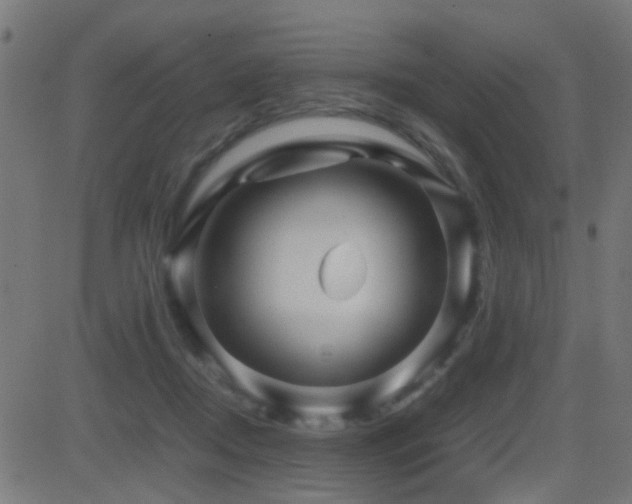 X0000081450362200701121238