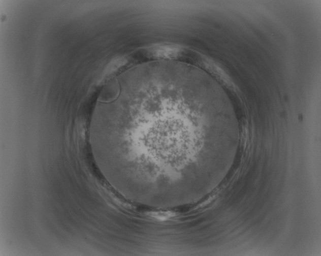 X0000081450363200701121238