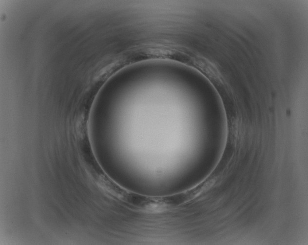 X0000081450364200701121238