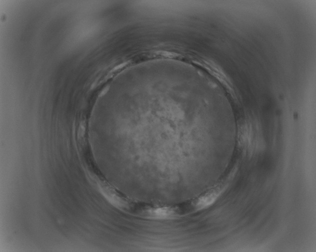 X0000081450365200701121238