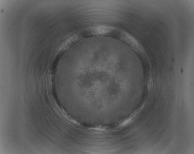 X0000081450366200701121238