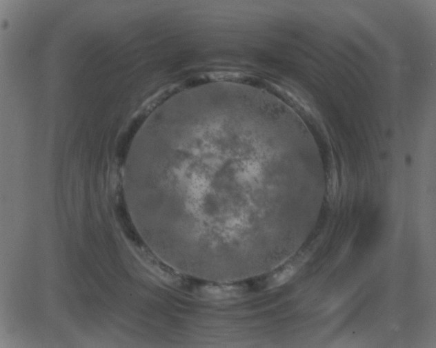 X0000081450367200701121238