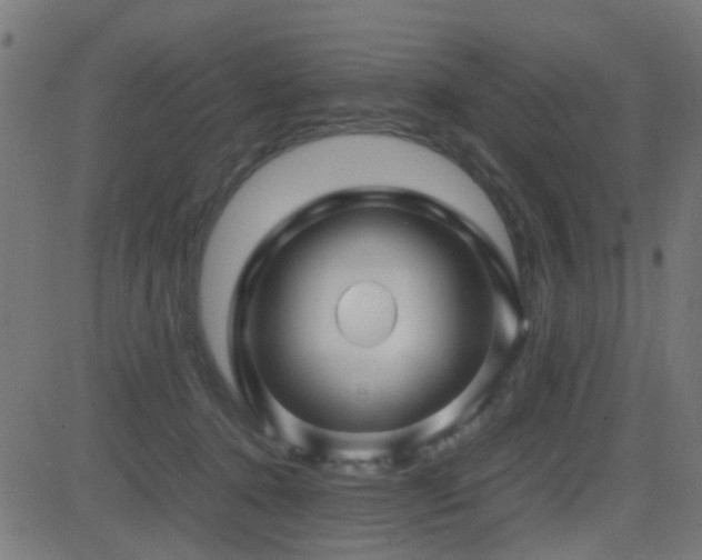 X0000081450368200701121238